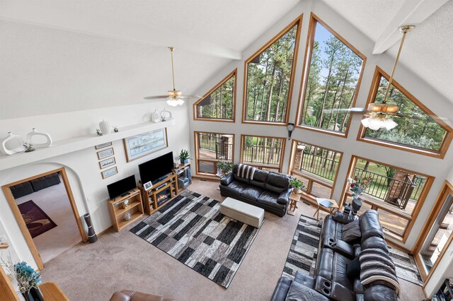 carpeted living room featuring high vaulted ceiling, beam ceiling, and ceiling fan