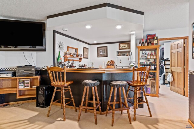 bar with light carpet and a textured ceiling