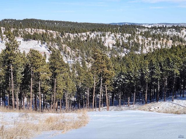 13752 Borglum Rd, Keystone SD, 57751 land for sale