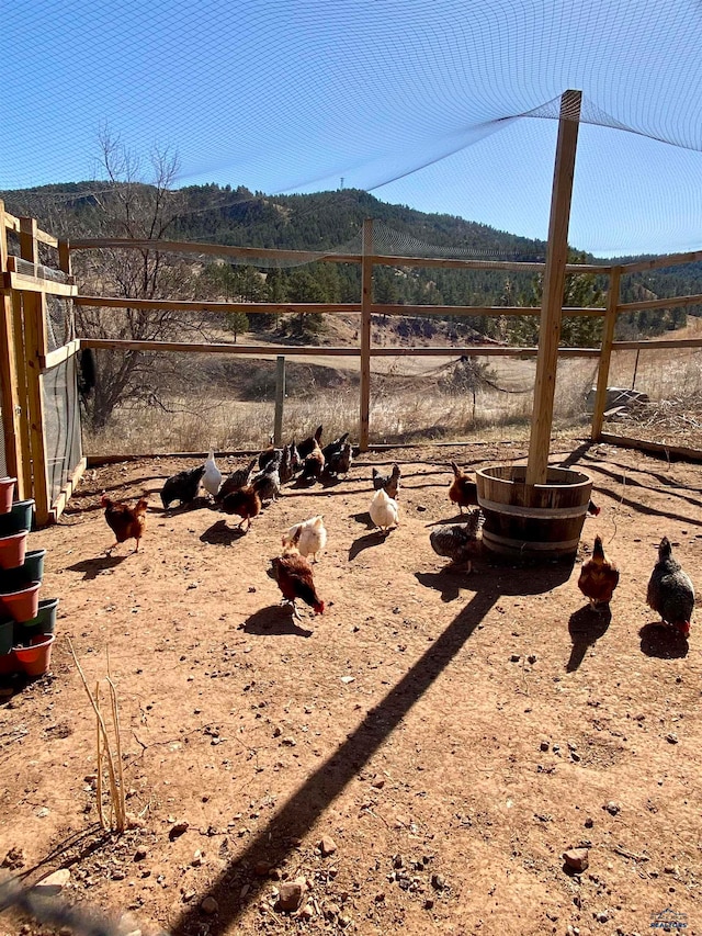 view of yard featuring a rural view