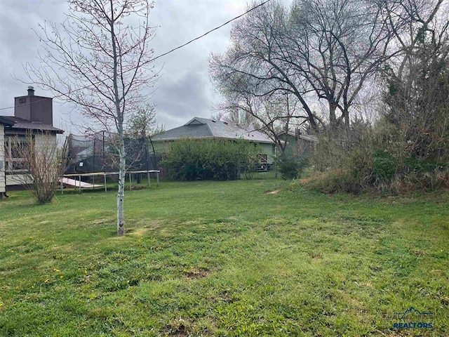 view of yard with a trampoline