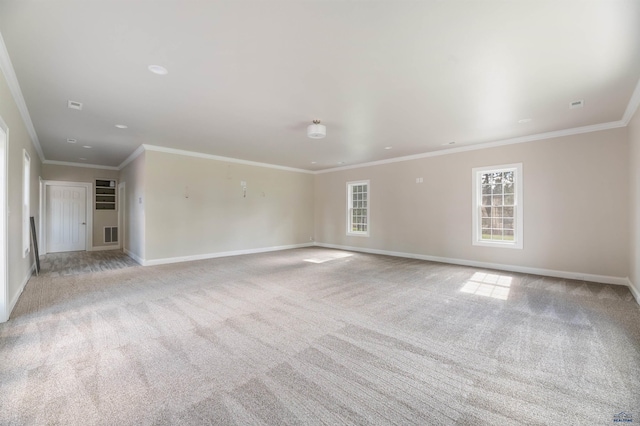 interior space with carpet flooring and ornamental molding