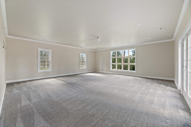 carpeted empty room with a wealth of natural light and ornamental molding