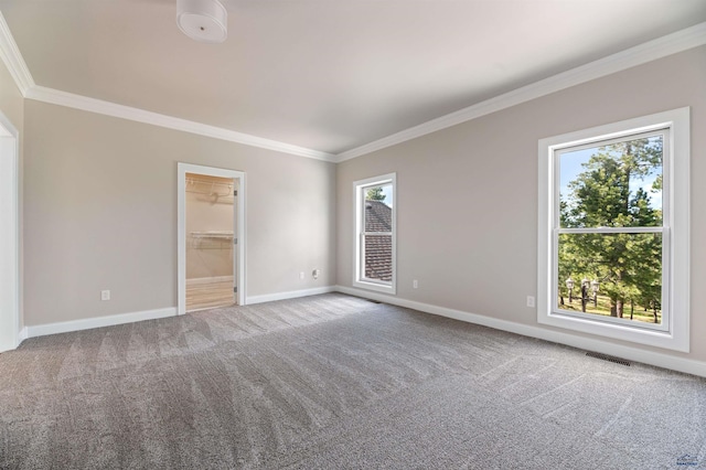 empty room with carpet flooring, crown molding, and a healthy amount of sunlight