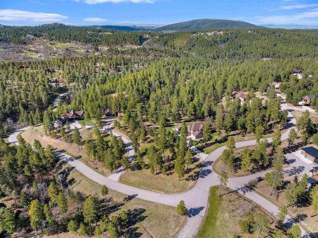 drone / aerial view featuring a mountain view