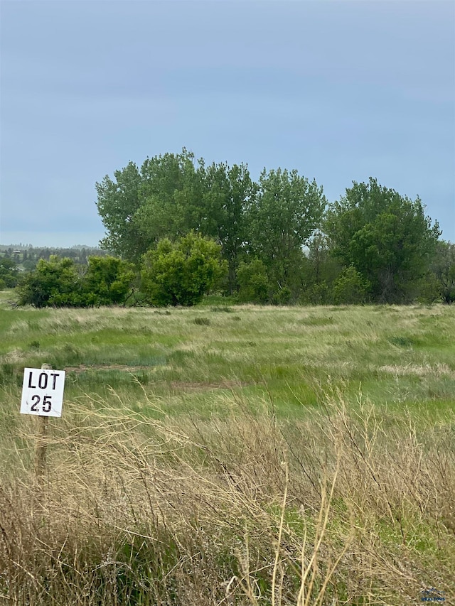 LOT25 Hay Creek Ln, Belle Fourche SD, 57717 land for sale