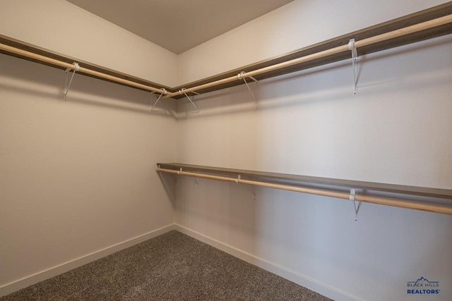 spacious closet featuring carpet floors