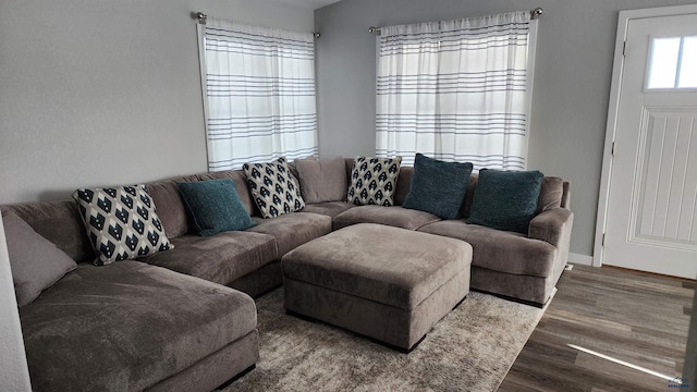 living room with hardwood / wood-style flooring