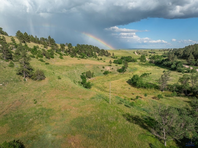 TBD Cobb Rd, Custer SD, 57730 land for sale