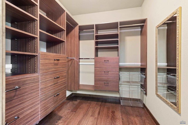 spacious closet featuring dark hardwood / wood-style floors