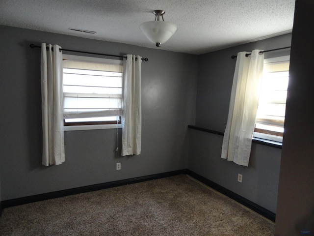 carpeted spare room featuring plenty of natural light and a textured ceiling