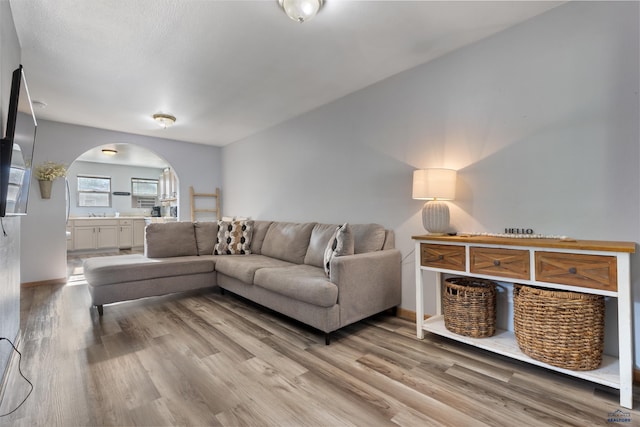 living room featuring hardwood / wood-style floors