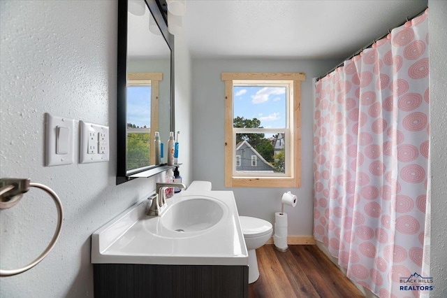 bathroom with toilet, vanity, and wood-type flooring