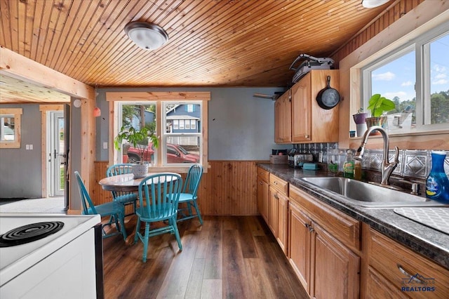 kitchen with a wealth of natural light, sink, dark wood-type flooring, and wood ceiling