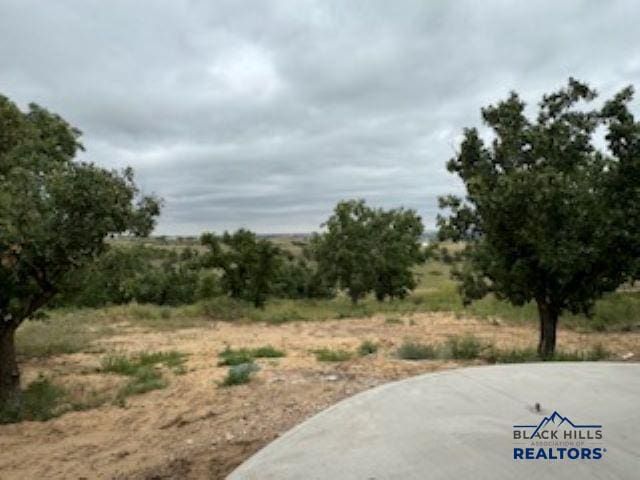 view of yard with a rural view