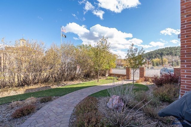 619 Mt Rushmore Rd, Custer, SD 57730 - view of yard with a gate