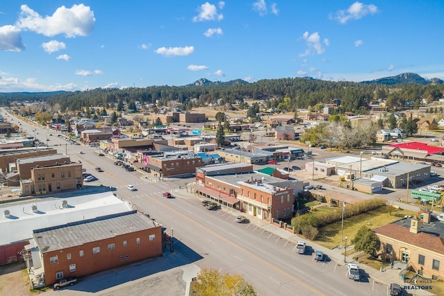 619 Mt Rushmore Rd, Custer, SD 57730 - drone / aerial view of a mountainous background