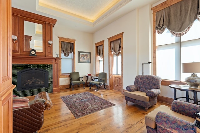 living room with a fireplace, light hardwood / wood-style flooring, and a tray ceiling