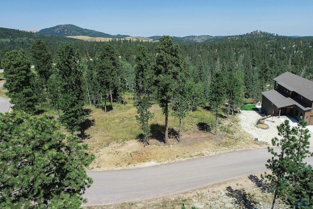 11258 Overlook Pass Lot 27Block 8, Lead, SD 57754