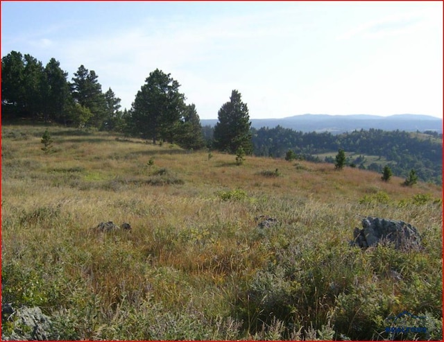 Listing photo 3 for TRACT11A Lookout Vista Rd, Spearfish SD 57783