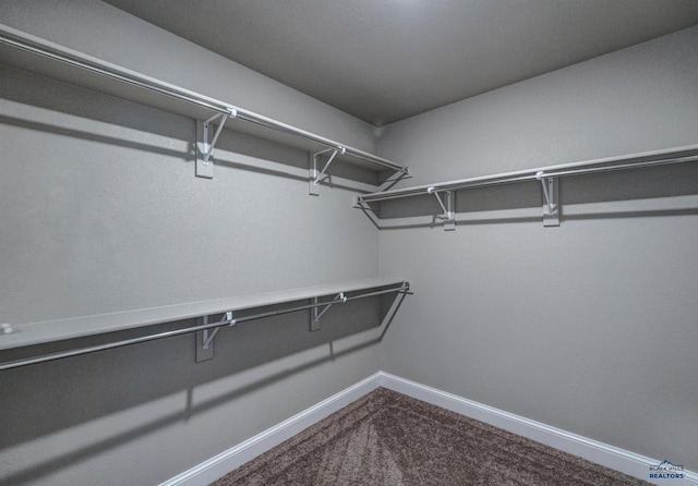 walk in closet featuring carpet flooring