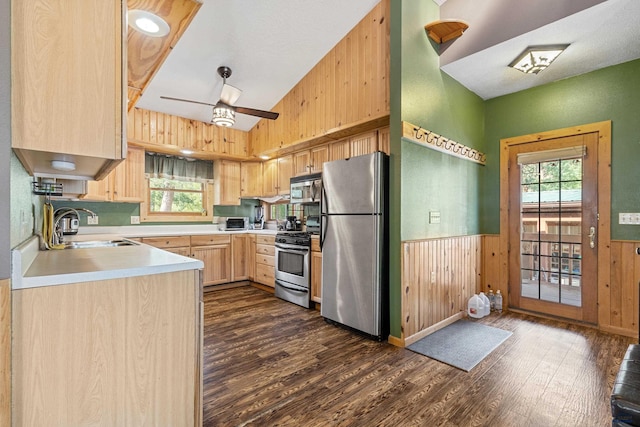 kitchen with ceiling fan, lofted ceiling, appliances with stainless steel finishes, and dark wood-type flooring