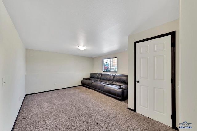 living room with carpet floors