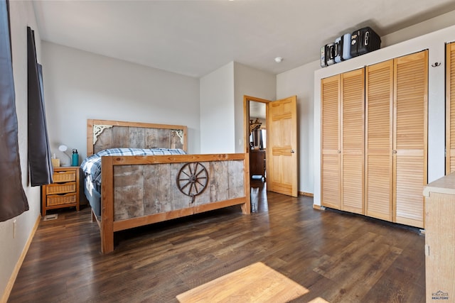 bedroom featuring dark wood-type flooring and two closets