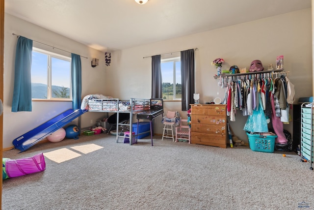 bedroom with carpet and multiple windows