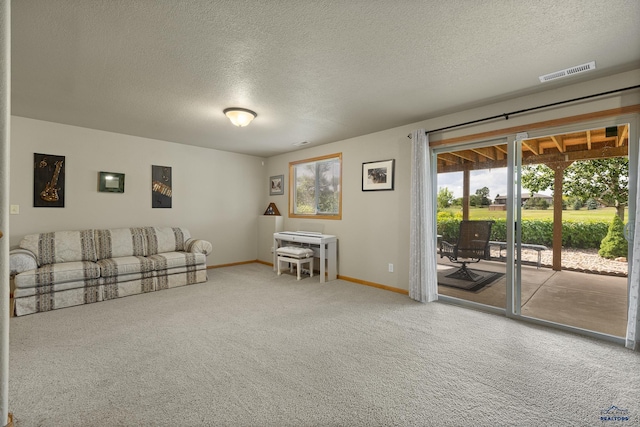 living area with carpet flooring and a textured ceiling