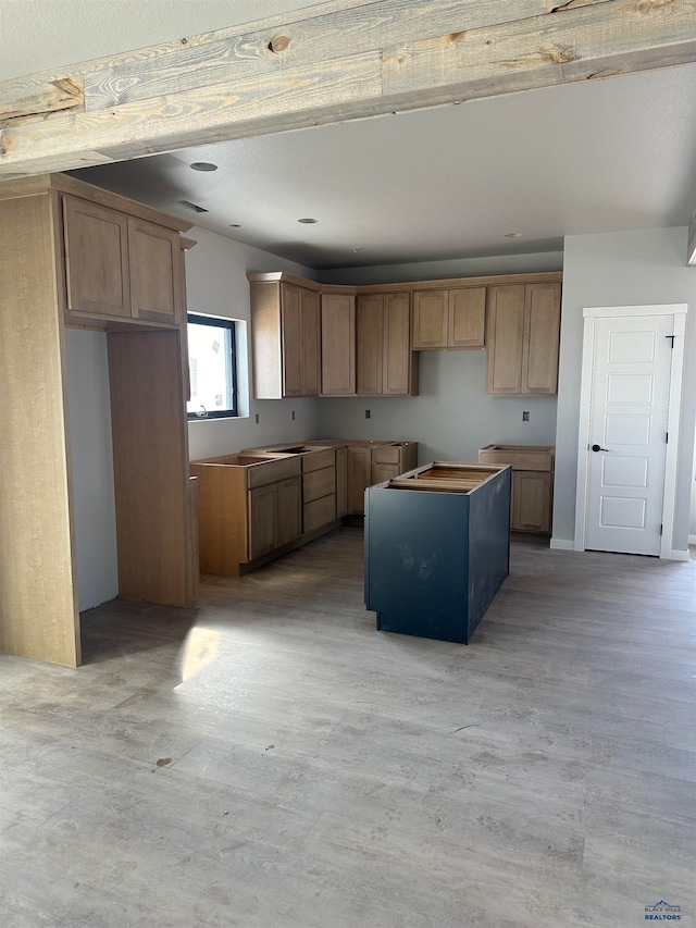 kitchen featuring light wood-type flooring