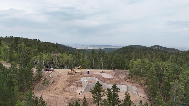 view of mountain feature