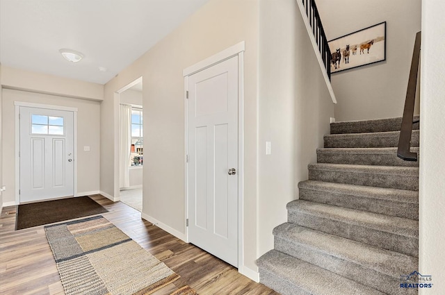 foyer featuring wood-type flooring