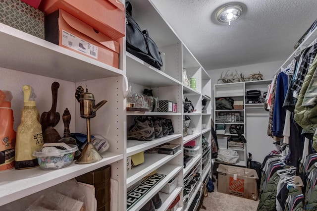 11845 N Haines Ave, Rapid City, SD 57701 - walk in closet featuring carpet flooring
