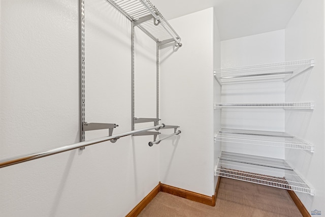 walk in closet featuring carpet floors