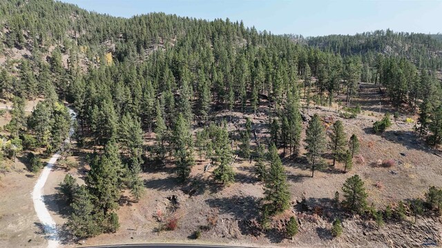 11708 Rochford Rd, Hill City, SD 57745
