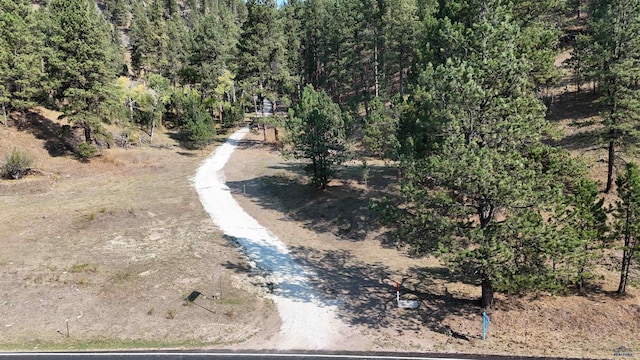 11708 Rochford Rd, Hill City, SD 57745