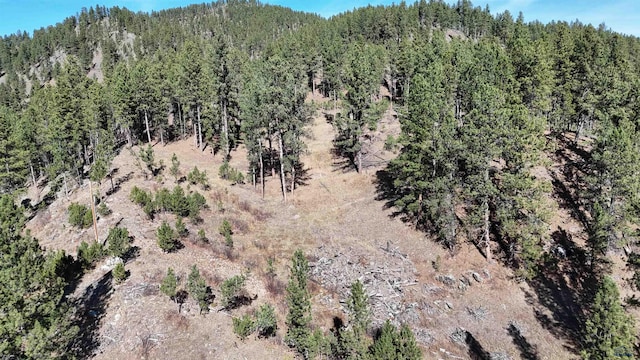 11708 Rochford Rd, Hill City, SD 57745