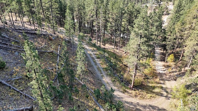 11708 Rochford Rd, Hill City, SD 57745