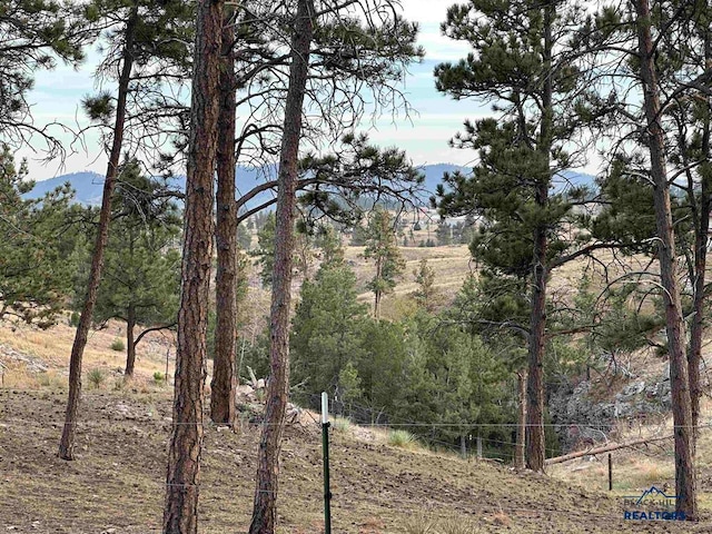 view of nature with a mountain view