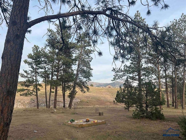 view of nature featuring a rural view