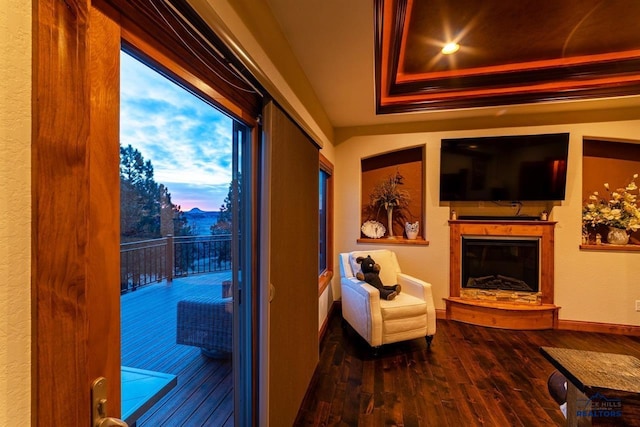 interior space featuring hardwood / wood-style floors and a raised ceiling