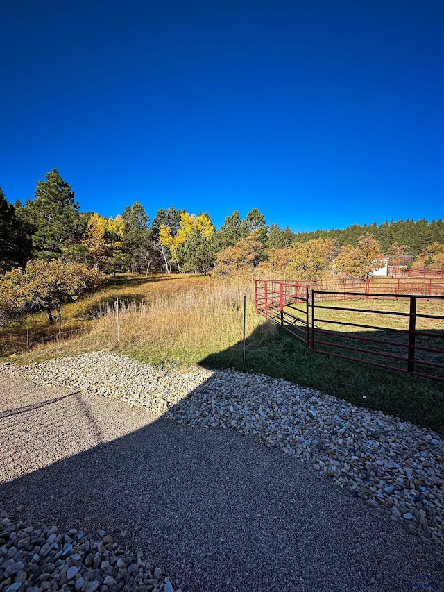 view of yard featuring a rural view