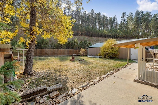 view of yard featuring a shed and a patio