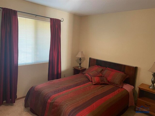 bedroom with light colored carpet and multiple windows