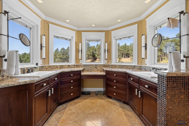 bathroom with vanity, a textured ceiling, and a wealth of natural light