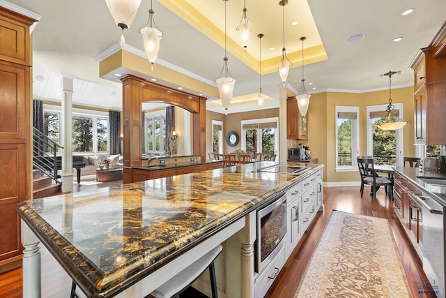 kitchen featuring pendant lighting, appliances with stainless steel finishes, dark hardwood / wood-style flooring, and a wealth of natural light