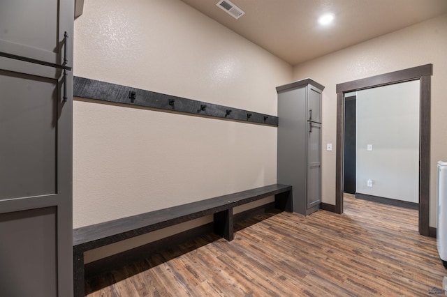 mudroom featuring dark wood-type flooring