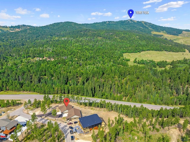 aerial view featuring a mountain view