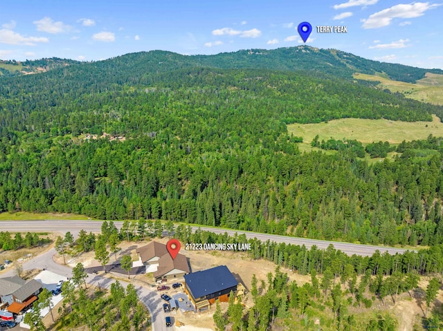 birds eye view of property featuring a mountain view